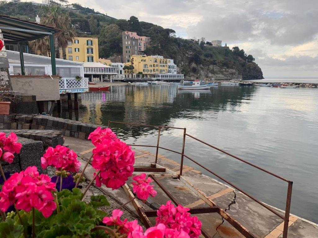 B&B Lodge Dell'Ospite Ischia Casamicciola Terme Exteriör bild