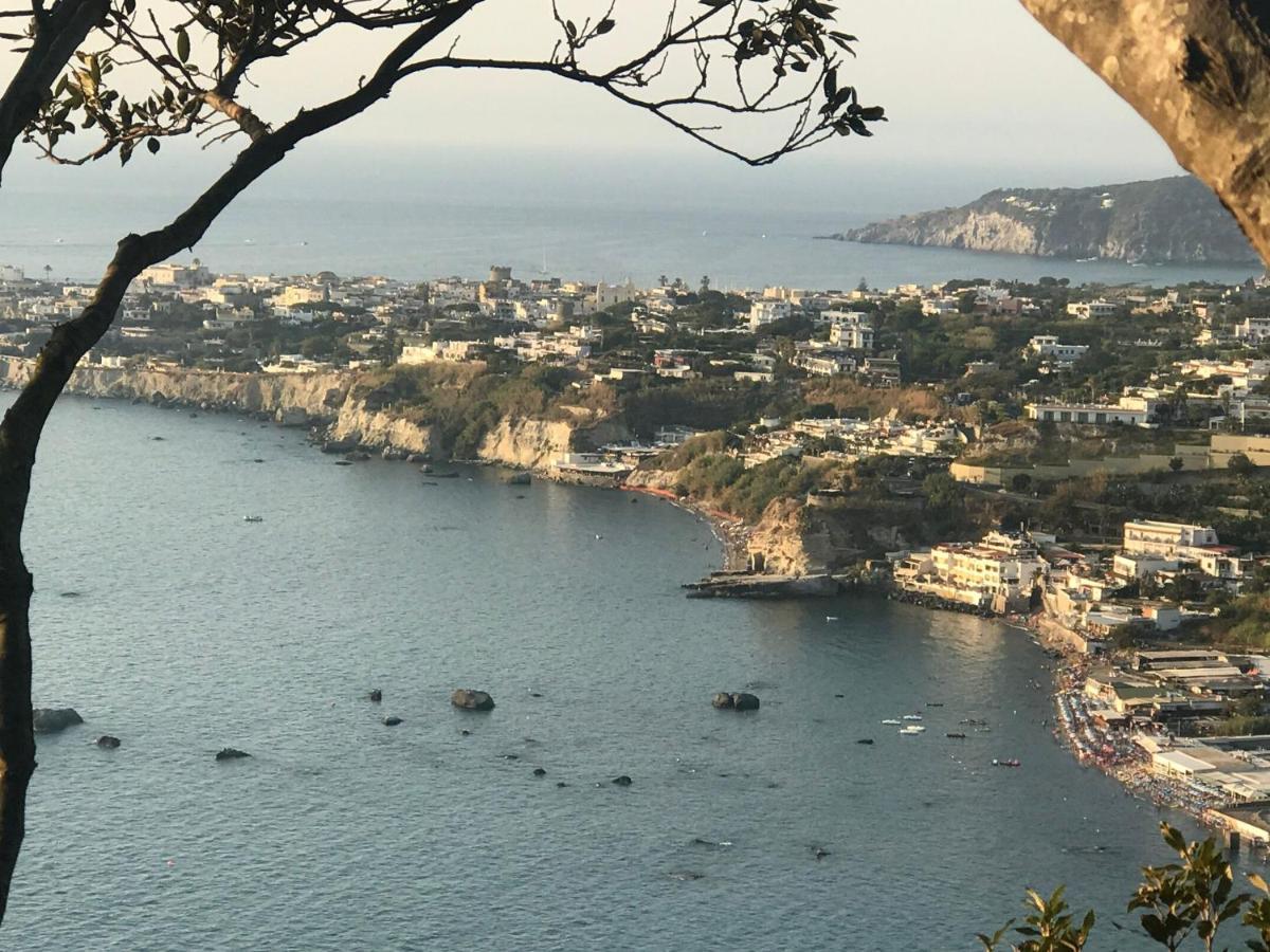 B&B Lodge Dell'Ospite Ischia Casamicciola Terme Exteriör bild