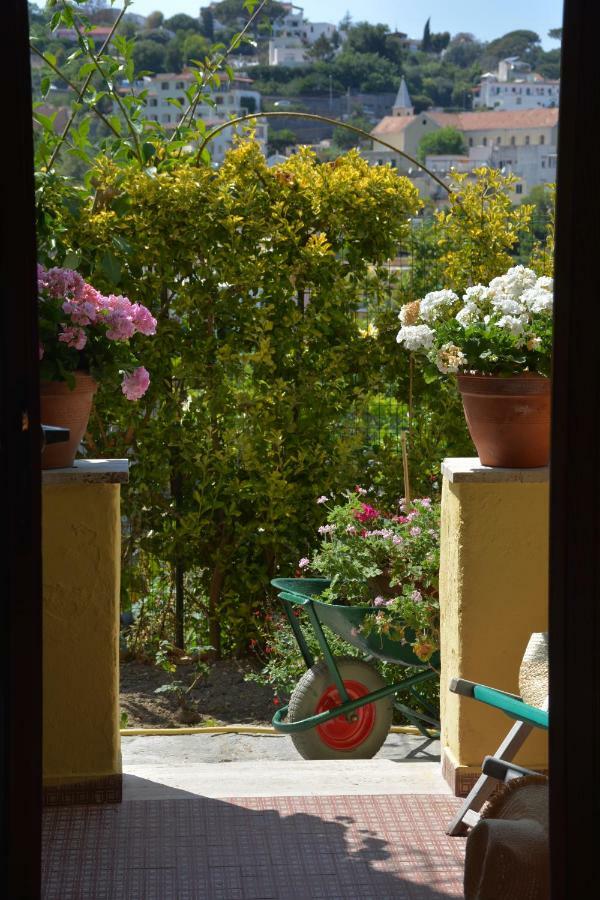 B&B Lodge Dell'Ospite Ischia Casamicciola Terme Exteriör bild